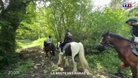 Zoom : la route des Haras