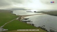 Zoom : la douceur des îles Shetland