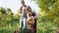 Nos astuces pour une décomposition rapide du compost