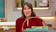 Le cabinet de curiosités : L'indémodable panier