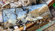 Ce qu'il faut savoir avant de déposer les déchets en déchetterie