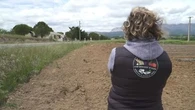 400 kilos d'ail volés : ces agriculteurs forcés de placer leurs champs sous haute surveillance