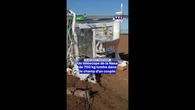 Incident rarissime ! Un téléscope de la Nasa de 700 kg tombe dans le champ d'un couple