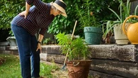 Des courbatures après le jardinage ? Voici des exercices à pratiquer pour récupérer en douceur