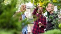 L’arbre de mon voisin me fait de l’ombre : que faire pour y remédier ?