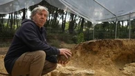 "Il pourrait y avoir un embryon à l'intérieur" : des centaines d'œufs de dinosaures découverts dans l'Hérault