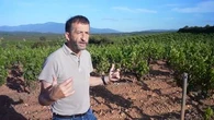 "Cultiver l'eau plutôt que la vigne" : ce vigneron défie la sécheresse dans les Pyrénées-Orientales