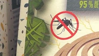 Moustiques-tigres, punaises de céréales… Comment lutter contre nos (petits) ennemis de l'été ?