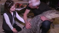 "Pourquoi en avoir peur ?" : il vit avec deux alligators dans son salon