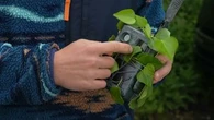 "S'ils se font prendre, ils ne pourront pas la démonter" : en Angleterre, des caméras cachées pour filmer les pollueurs