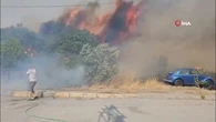 "Je ne peux pas regarder ça" : des centaines de maisons ravagées par 3 incendies en Turquie