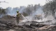 Israël : les images des dégâts des feux désormais sous contrôle aux abords de Jérusalem