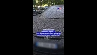 Fientes, nuisances sonores... Les étourneaux font vivre un cauchemar aux Nîmois