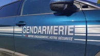 "Ébouillantés, embrochés et jetés contre un mur" : un adolescent se filme en train de torturer des chatons avant d'être interpellé