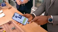 Insectes : avec cette application, votre smartphone vous aide à soulager les piqûres