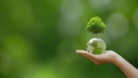 "Greenwashing" : la Répression des fraudes dénonce des manquements graves par les entreprises