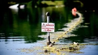 Canicule : 131 décès depuis le 19 juin, en hausse de 20% par rapport à 2025