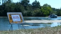 Les cyanobactéries, "danger potentiel pour l'homme et les animaux" : pourquoi les interdictions de baignade se multiplient