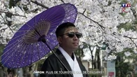 Japon : plus de touristes que de cerisiers !