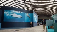 Sommet de Nice : un (vrai) tournant pour l'océan ?