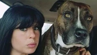 Mort d'Elisa Pilarski : la pétition pour sauver le chien Curtis atteint 80.000 signatures, le tribunal se prononce ce jeudi