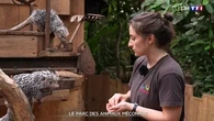 "C'est une chance" : dans ce parc animalier de Normandie, les visiteurs découvrent des espèces méconnues et en voie d'extinction