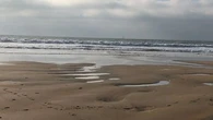 Une association bretonne alerte sur la pollution des plages, qui "continue après l'été"