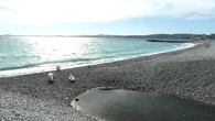 "Il y a de quoi hurler" : comment expliquer le "gaspillage insensé" d'eau potable à Saint-Laurent-du-Var ?