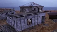 Russie : les images d'une famille d'ours polaire dans une station de recherche abandonnée
