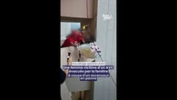 Sauvetage spectaculaire à Marseille : une femme victime d'un AVC évacuée par la fenêtre