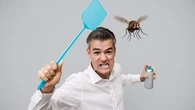 "Des plantes qui émettent des odeurs comme la citronnelle, le géranium, l'eucalyptus" : je vais enfin pouvoir me débarrasser des moustiques