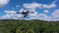 REPORTAGE - Brésil : des drones pour reconstruire la forêt atlantique