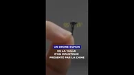 Un drone espion de la taille d'un moustique : l'incroyable innovation dévoilée par la Chine