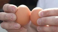 "Une catastrophe" : moins de lait, œufs et fraises plus petits... dans les fermes, la production souffre de la canicule