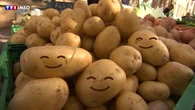 "Avoir la patate" : connaissez-vous l'origine de cette expression ?