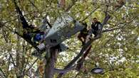 Paris : le militant écologiste retranché en haut d'un arbre délogé