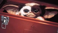 "Ils ont enfin trouvé un scénario" : le 3e volet des "Gremlins" bientôt sur les rails ?