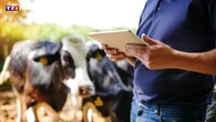 Sur les réseaux sociaux, l’entraide est dans le pré pour les agriculteurs