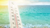 VIDÉO - Canicule marine : quelles sont les conséquences du réchauffement des mers et des océans ?