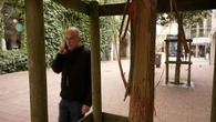 "Je trouve ça inadmissible" : la ville de Poitiers en proie à une mystérieuse vague de vandalisme ciblant des arbres