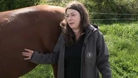 "On ne donne pas d'herbe tondue aux animaux" : le coup de gueule de la propriétaire d'un cheval retrouvé agonisant