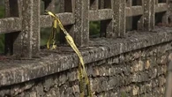 "Ça pourrait être nous" : 3 ouvriers meurent ensevelis sous un mur, les habitants de Pommard sous le choc