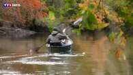 VIDÉO - Découvrez les marais de Sologne, un bain de nature au cœur de la France