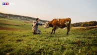 4 agriculteurs sur 10 gagnent-ils moins que le RSA ?