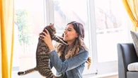 Que se passe-t-il si un chat est privé de sa queue ?
