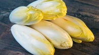 Comment réussir à cultiver des endives chez soi ? Les conseils d'un jardinier