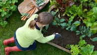 VIDÉO - Faire un petit bout de jardin sur son balcon : le succès des "influenceurs du potager"