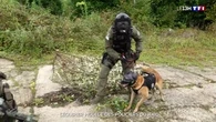 L'équipier modèle des policiers du Raid