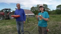 "Le principe, c'est d'acheter une part, ce n'est pas un don" : ces outils de financement qui mettent le pied à l'étrier aux agriculteurs