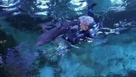 "Aller aussi vite que possible" : un convoi exceptionnel pour déménager 7 requins de Paris à Boulogne-sur-Mer